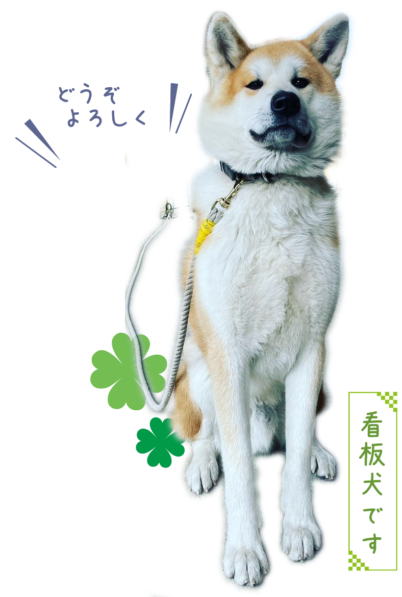 看板犬